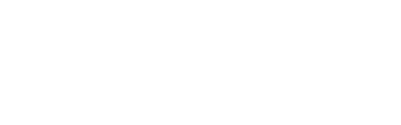 Hawk logo