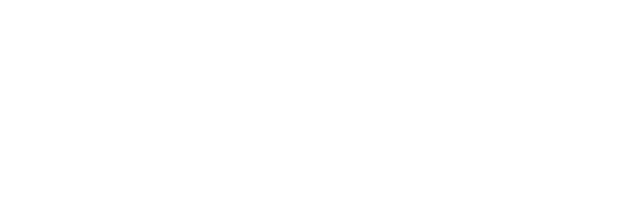 Nanlite logo